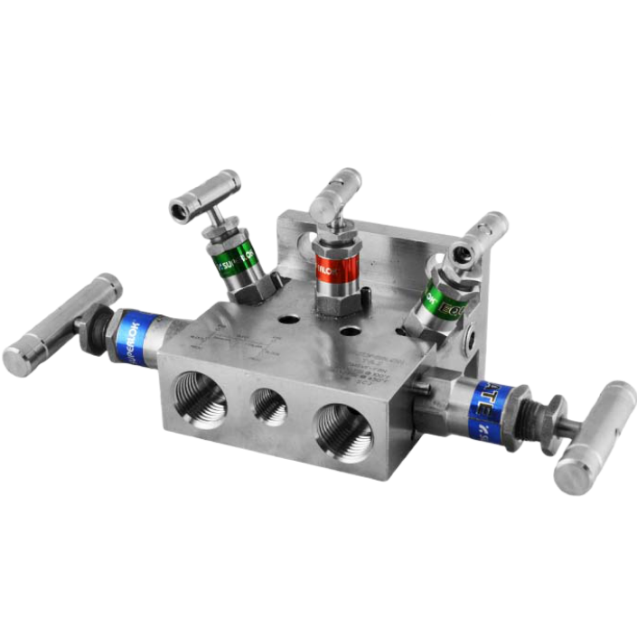 5 yollu manifold